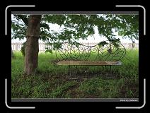 IMG_6736 * 900 x 644 * (287KB)