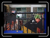 IMG_6747 * 900 x 644 * (289KB)