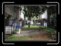 IMG_6752 * 900 x 644 * (285KB)