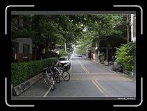 IMG_6757 * 900 x 644 * (291KB)