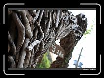 IMG_6782 * 900 x 644 * (292KB)