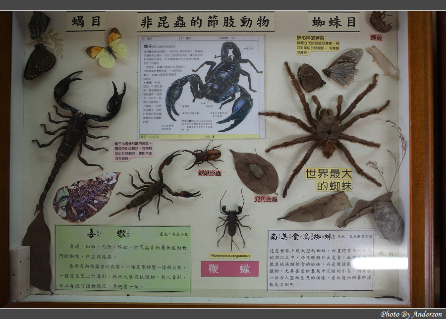 下一張幻燈片