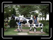 IMG_6902 * 900 x 644 * (295KB)