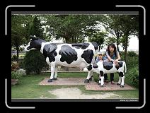 IMG_6905 * 900 x 644 * (293KB)