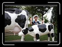 IMG_6908 * 900 x 644 * (278KB)