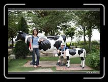 IMG_6911 * 900 x 644 * (290KB)