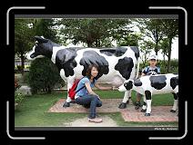IMG_6914 * 900 x 644 * (299KB)