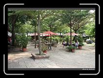 IMG_6915 * 900 x 644 * (294KB)