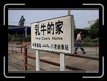 IMG_6930 * 900 x 644 * (264KB)