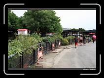 IMG_6933 * 900 x 644 * (297KB)