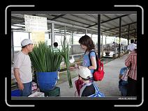 IMG_6944 * 900 x 644 * (278KB)