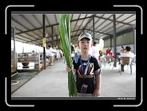 IMG_6946 * 900 x 644 * (291KB)