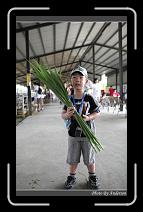 IMG_6948 * 600 x 966 * (286KB)