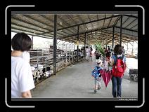 IMG_6951 * 900 x 644 * (281KB)