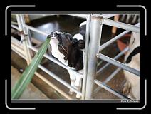 IMG_6957 * 900 x 644 * (269KB)