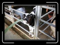 IMG_6958 * 900 x 644 * (260KB)