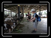 IMG_6965 * 900 x 644 * (288KB)