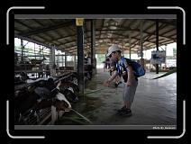 IMG_6967 * 900 x 644 * (275KB)