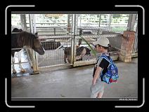 IMG_6968 * 900 x 644 * (291KB)