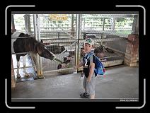 IMG_6971 * 900 x 644 * (285KB)