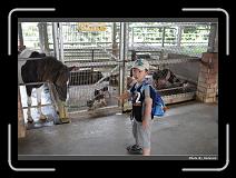 IMG_6972 * 900 x 644 * (291KB)