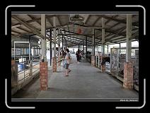 IMG_6979 * 900 x 644 * (279KB)
