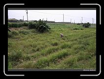 IMG_7004 * 900 x 644 * (294KB)