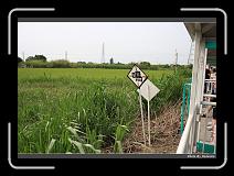IMG_7009 * 900 x 644 * (284KB)