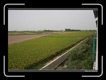 IMG_7017 * 900 x 644 * (280KB)