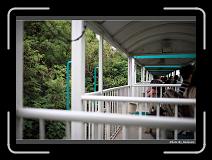 IMG_7095 * 900 x 644 * (296KB)