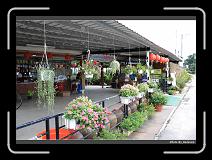 IMG_7105 * 900 x 644 * (287KB)