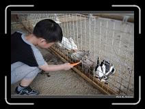 IMG_7113 * 900 x 644 * (280KB)