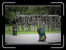 IMG_7223 * 900 x 644 * (300KB)