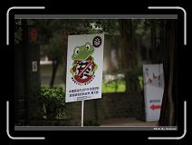 IMG_7227 * 900 x 644 * (266KB)