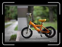 IMG_7229 * 900 x 644 * (285KB)
