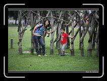 IMG_7234 * 900 x 644 * (280KB)