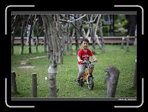 IMG_7248 * 900 x 644 * (292KB)