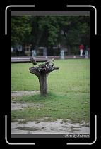 IMG_7274 * 600 x 966 * (285KB)