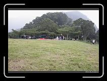 IMG_7308 * 900 x 644 * (283KB)