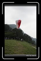 IMG_7309 * 600 x 966 * (275KB)