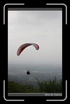IMG_7313 * 600 x 966 * (261KB)