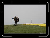 IMG_7319 * 900 x 644 * (241KB)