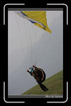 IMG_7341 * 600 x 966 * (299KB)