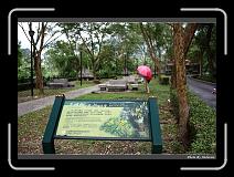 IMG_7389 * 900 x 644 * (298KB)