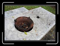 IMG_7392 * 900 x 644 * (276KB)