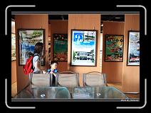 IMG_7427 * 900 x 644 * (278KB)