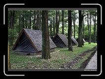 IMG_7432 * 900 x 644 * (292KB)
