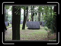 IMG_7433 * 900 x 644 * (293KB)