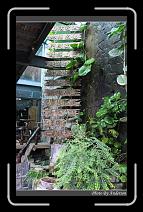 IMG_7438 * 600 x 966 * (289KB)