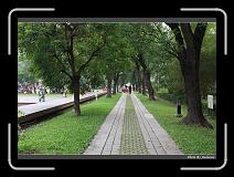 IMG_7478 * 900 x 644 * (294KB)